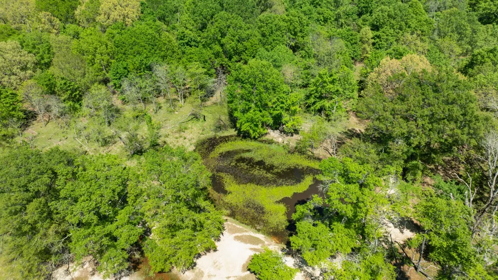 COUNTY ROAD 2356 Detroit, TX 75436