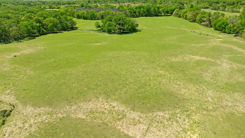 COUNTY ROAD 2356 Detroit, TX 75436