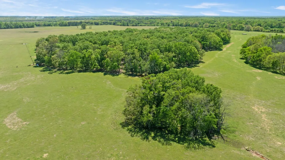 COUNTY ROAD 2356 Detroit, TX 75436
