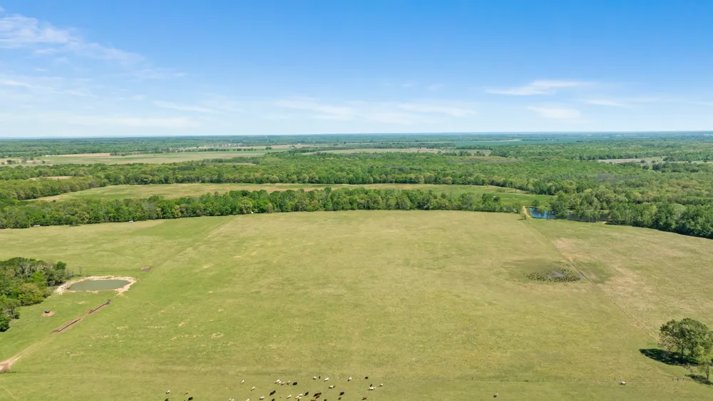COUNTY ROAD 2356 Detroit, TX 75436