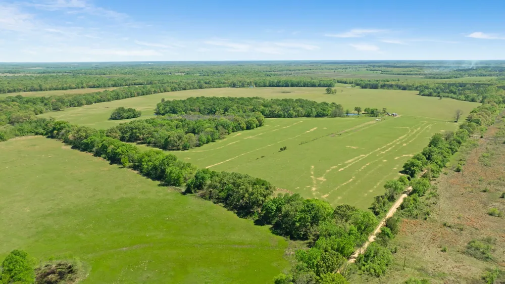 COUNTY ROAD 2356 Detroit, TX 75436