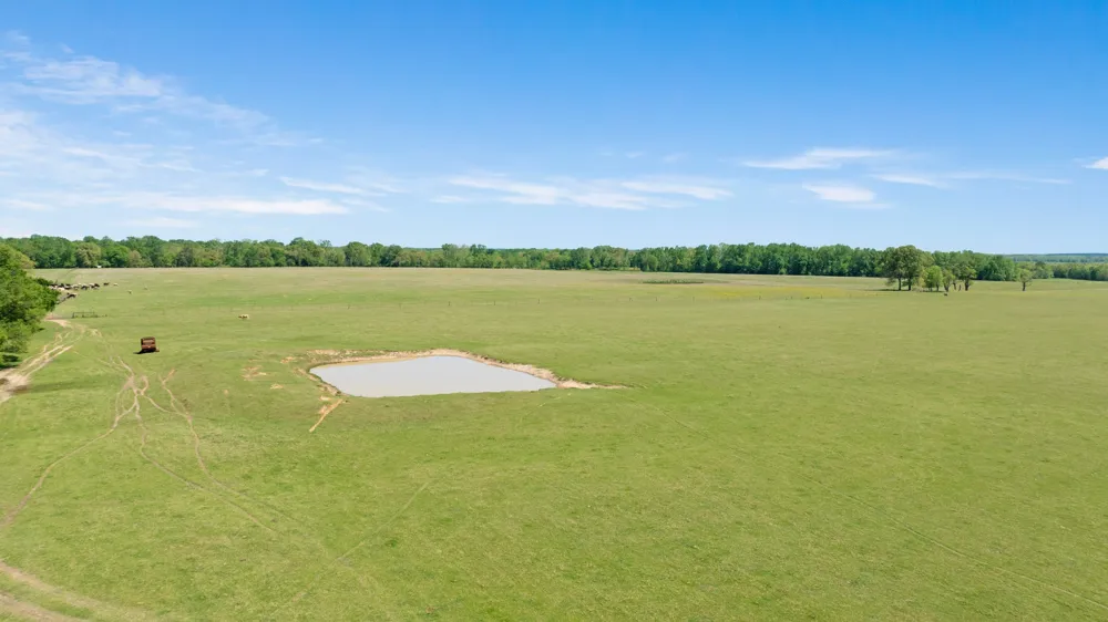 COUNTY ROAD 2356 Detroit, TX 75436