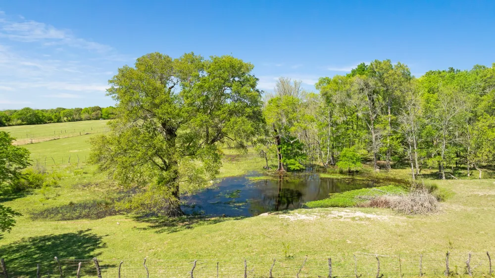 COUNTY ROAD 2356 Detroit, TX 75436