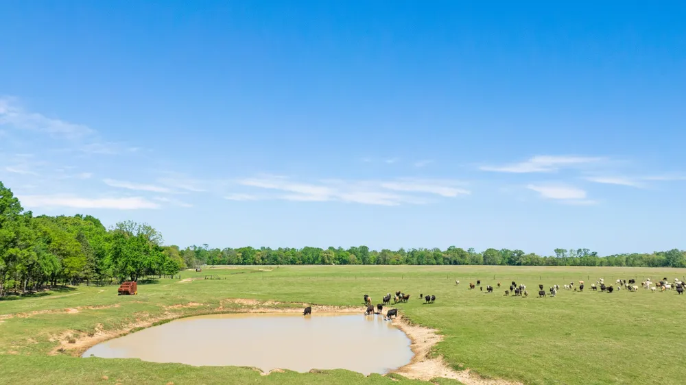 COUNTY ROAD 2356 Detroit, TX 75436
