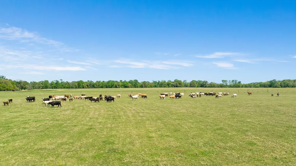 COUNTY ROAD 2356 Detroit, TX 75436