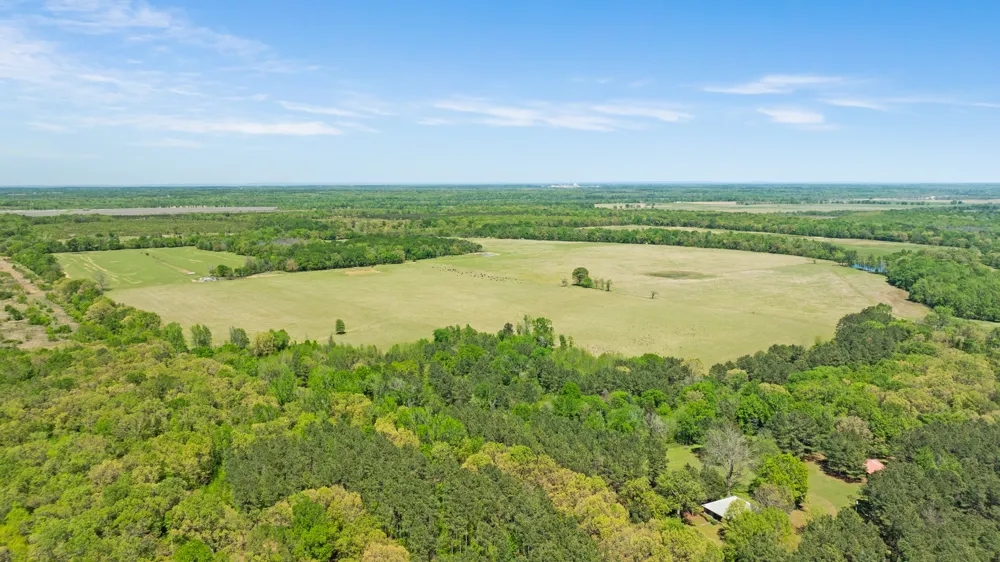 COUNTY ROAD 2356 Detroit, TX 75436