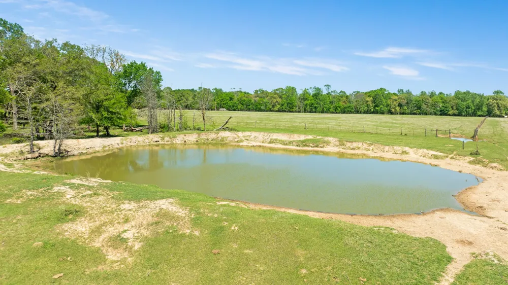 COUNTY ROAD 2356 Detroit, TX 75436
