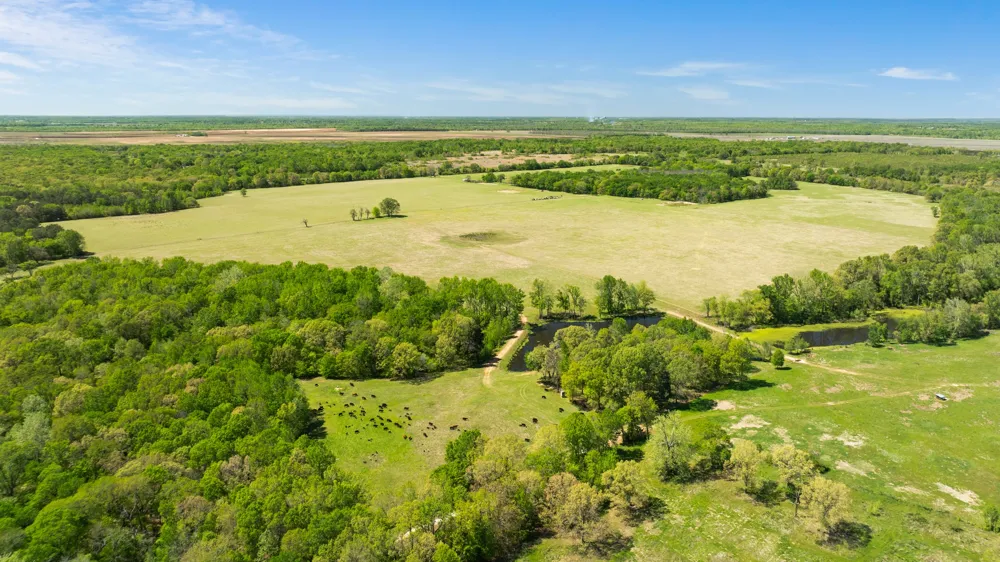 COUNTY ROAD 2356 Detroit, TX 75436