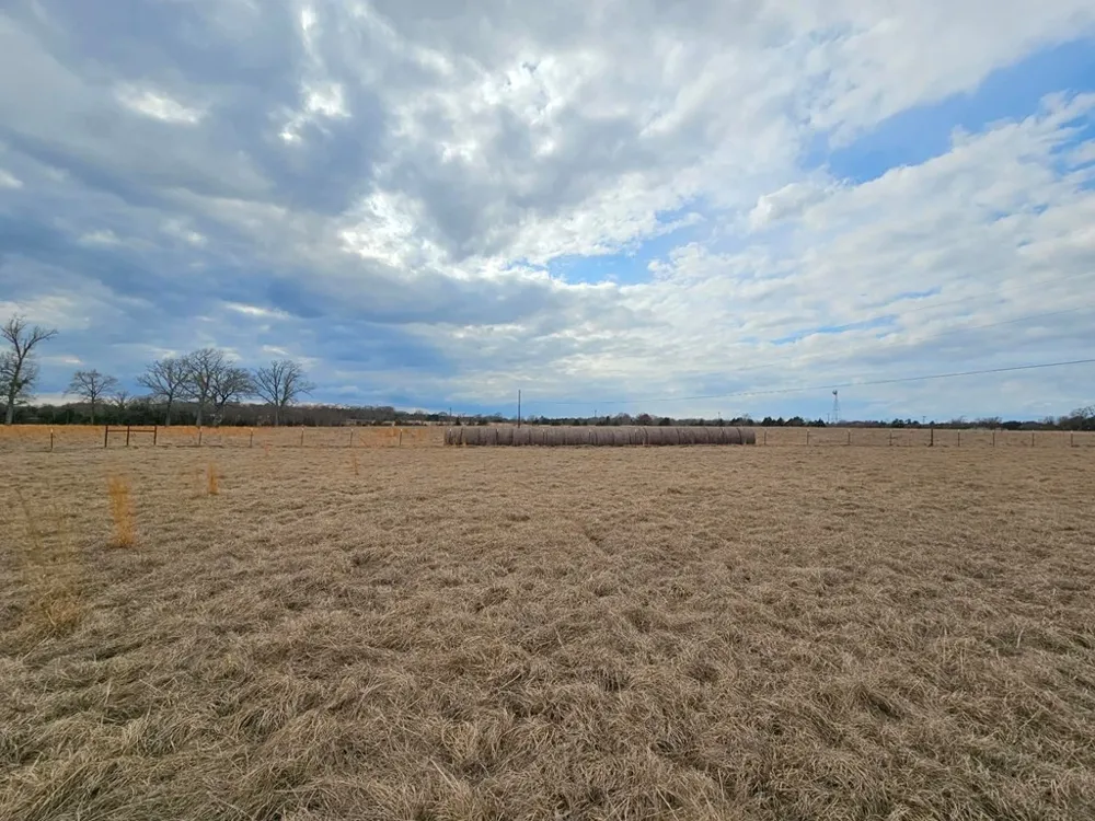 1710 An County Road 463 Montalba, TX 75853