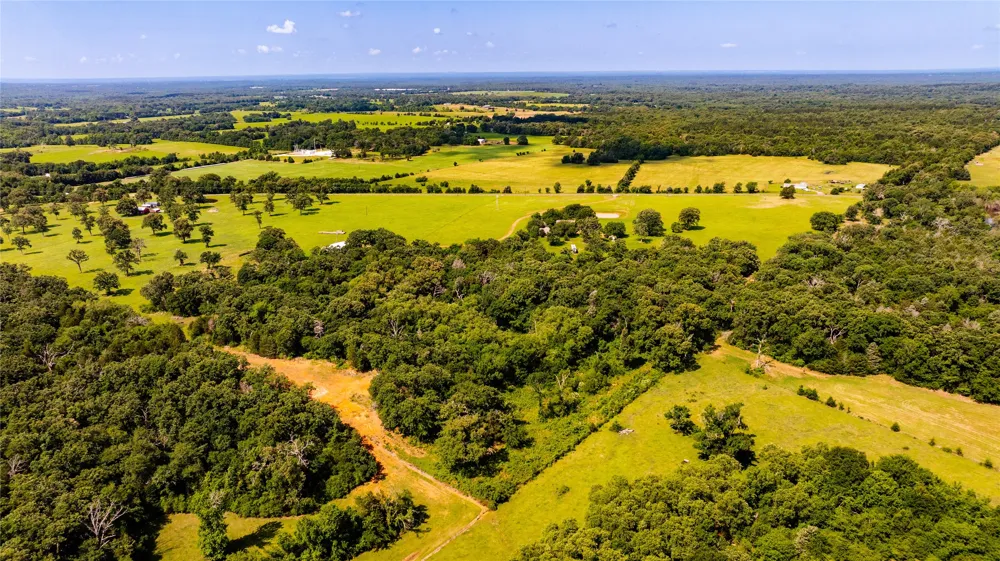 1710 An County Road 463 Montalba, TX 75853