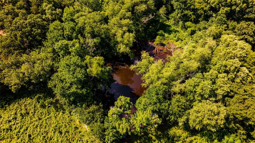 1710 An County Road 463 Montalba, TX 75853