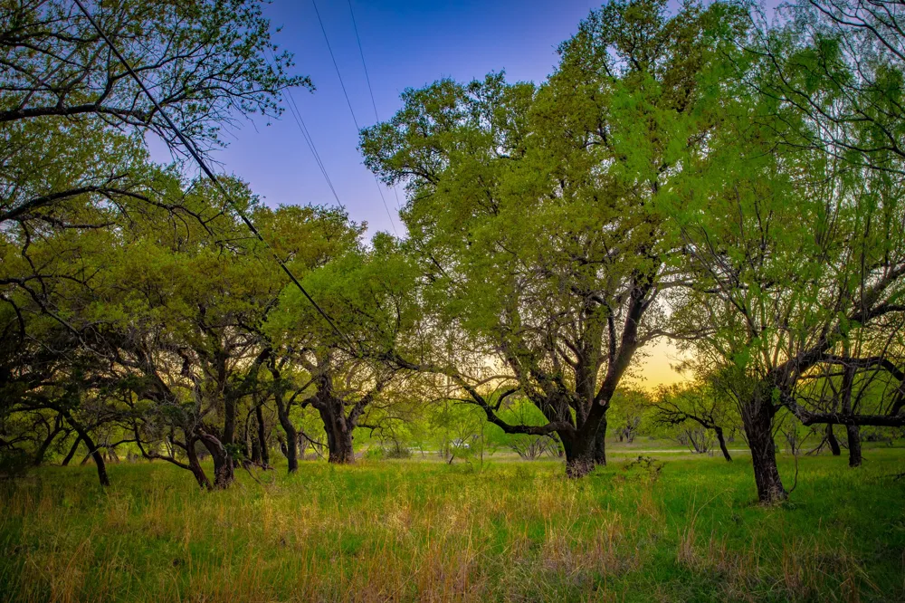 Firewheel Graford, TX 76449