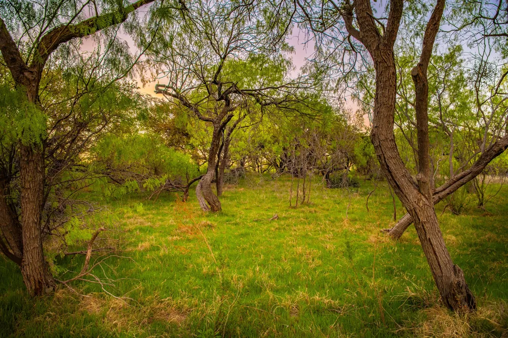 Firewheel Graford, TX 76449
