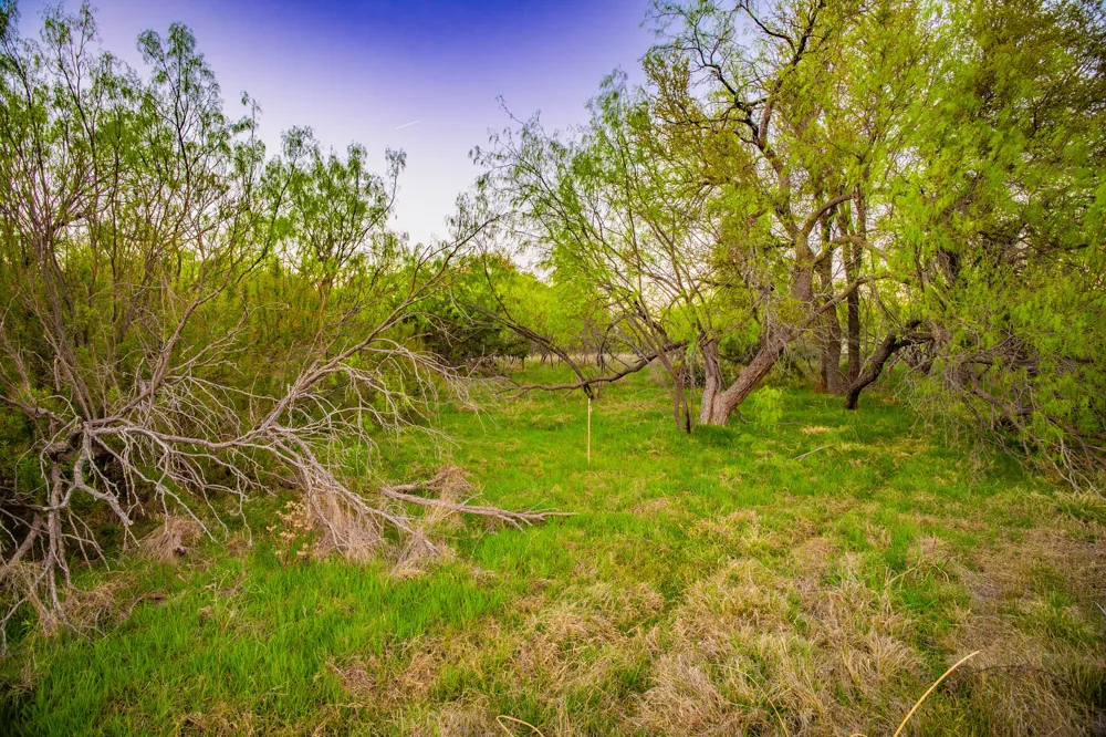 Firewheel Graford, TX 76449