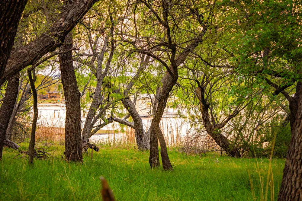 Firewheel Graford, TX 76449