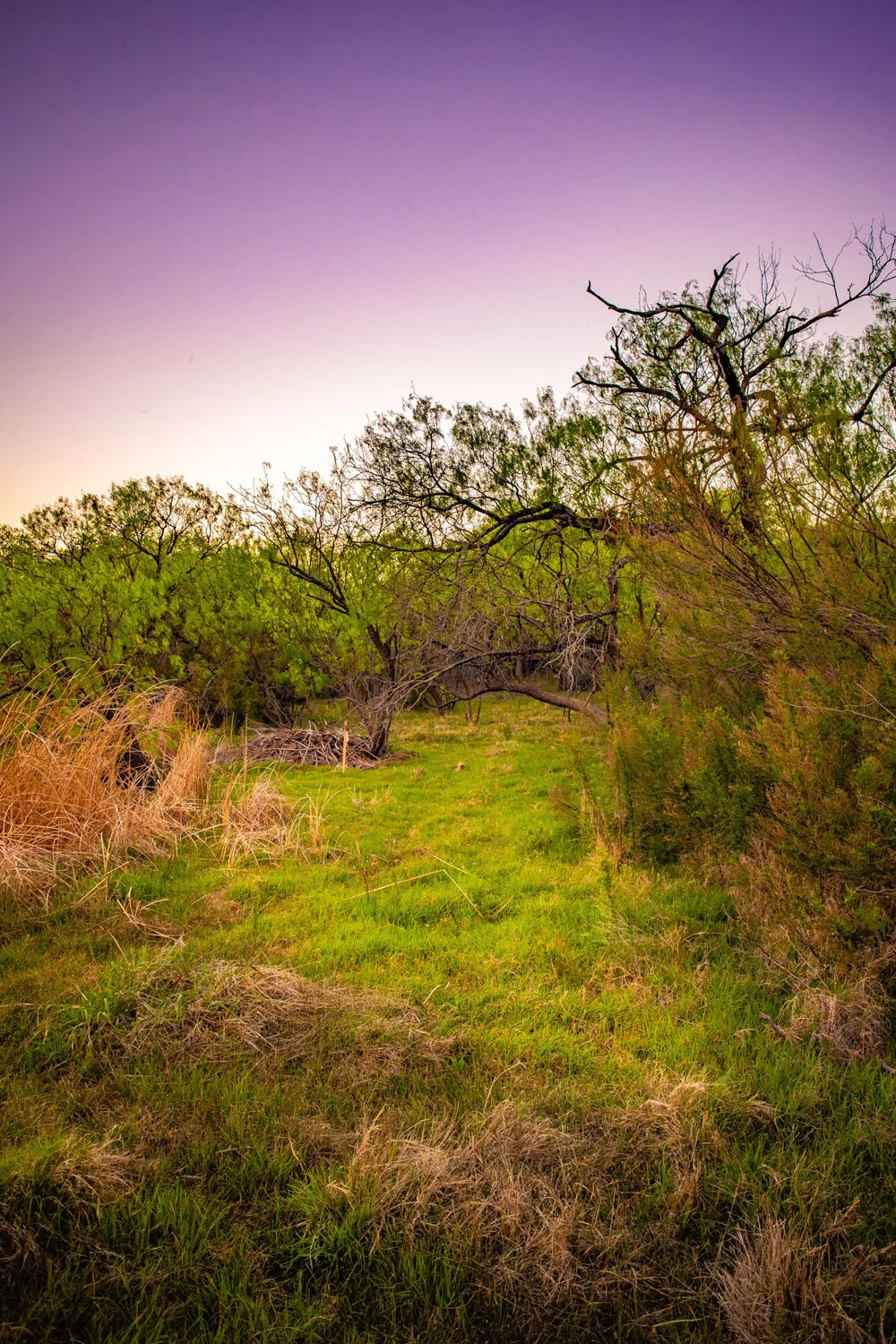 Firewheel Graford, TX 76449