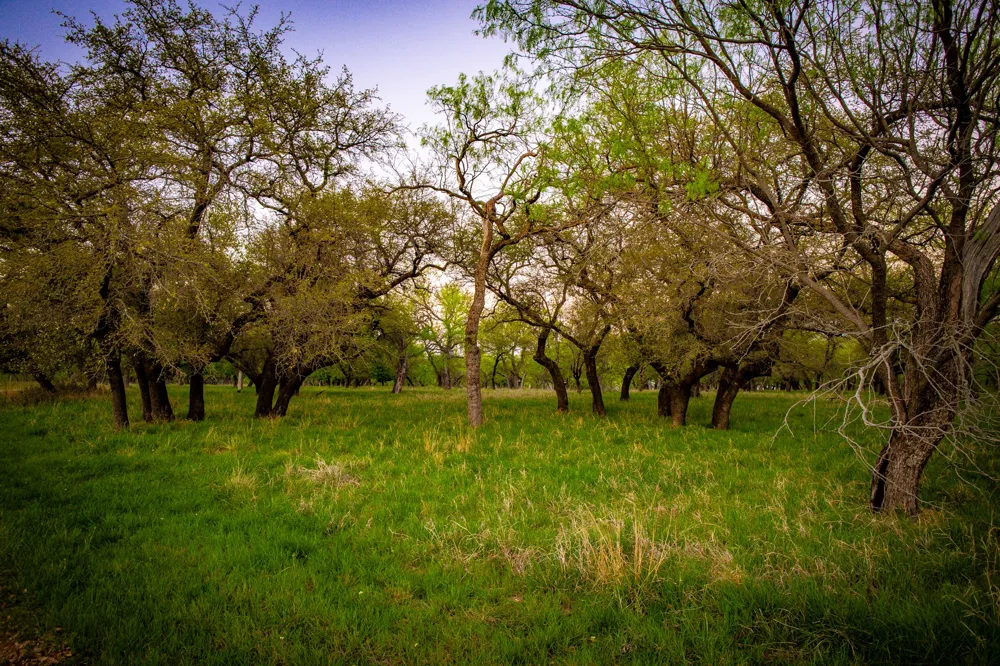 Firewheel Graford, TX 76449