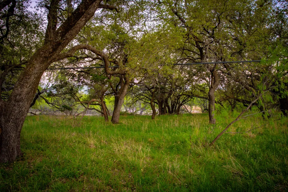 Firewheel Graford, TX 76449