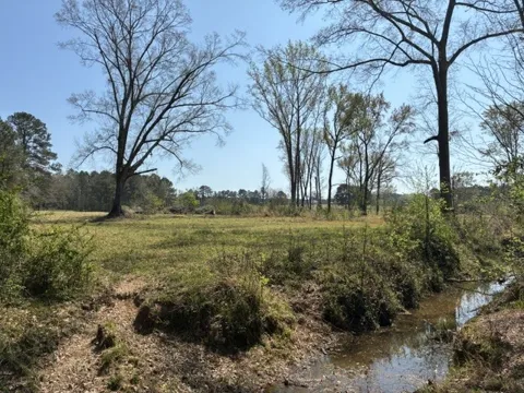 Dorcheat Road