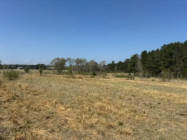 Dorcheat Road Minden, LA 71055