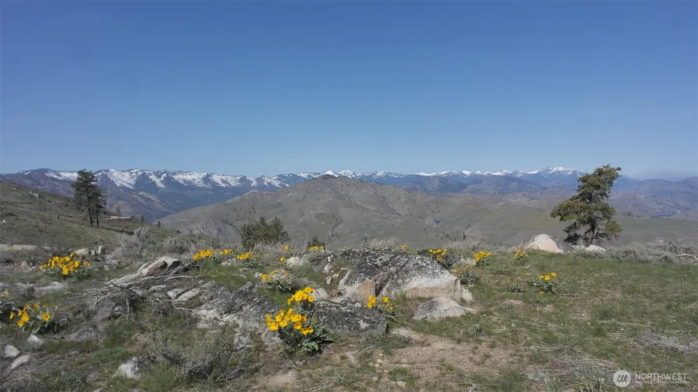 31 Cowboy Road Methow, WA 98834
