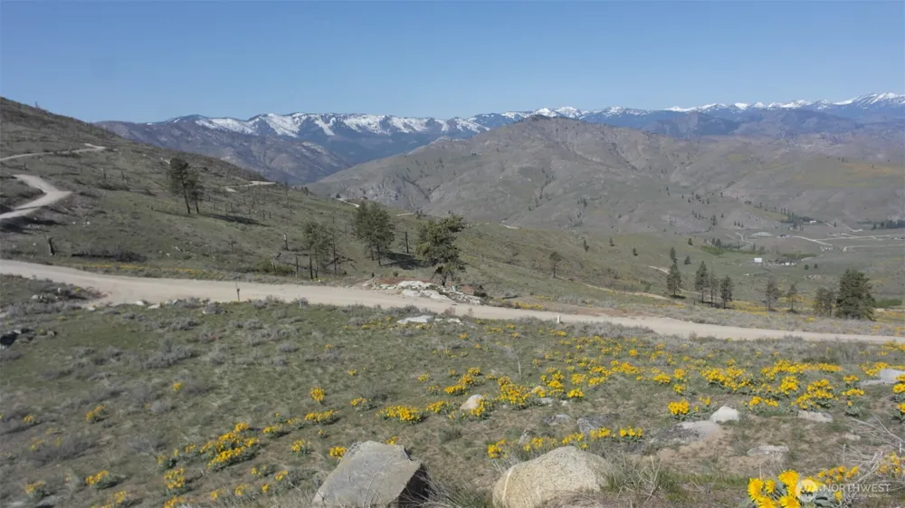 31 Cowboy Road Methow, WA 98834