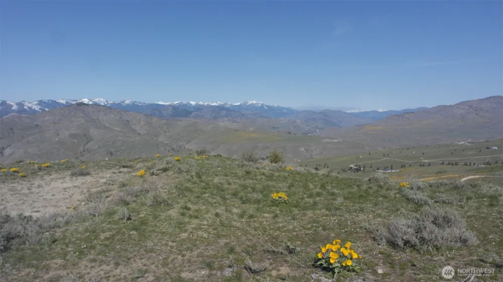 31 Cowboy Road Methow, WA 98834
