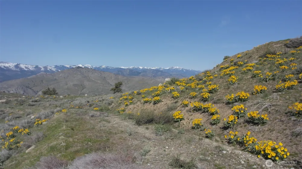 31 Cowboy Road Methow, WA 98834