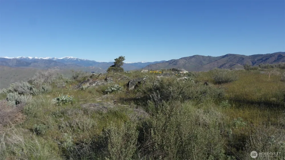 31 Cowboy Road Methow, WA 98834