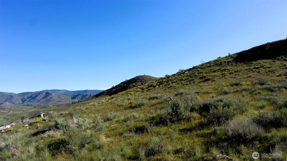 31 Cowboy Road Methow, WA 98834