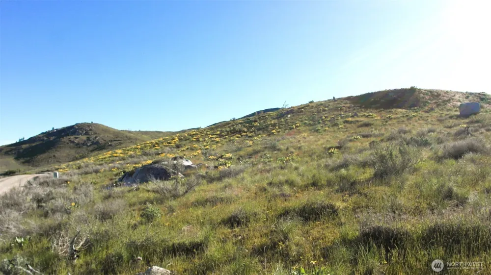 31 Cowboy Road Methow, WA 98834