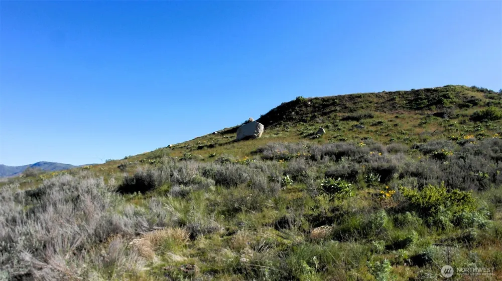 31 Cowboy Road Methow, WA 98834
