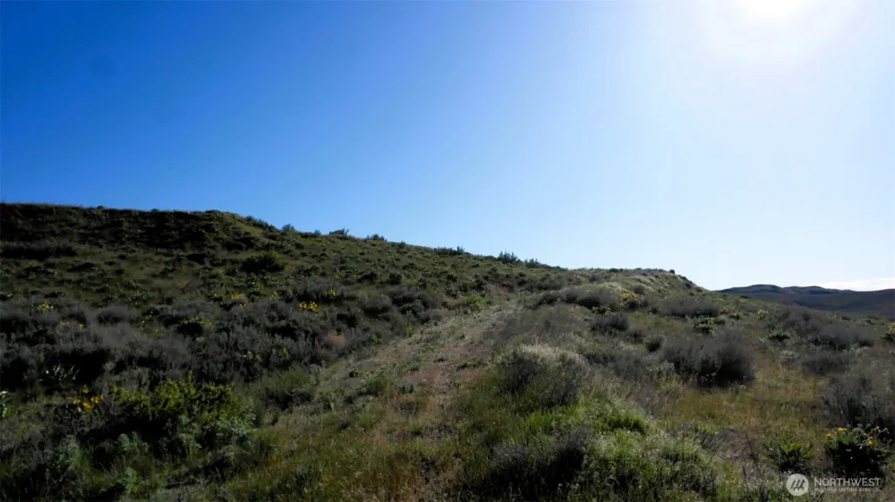 31 Cowboy Road Methow, WA 98834
