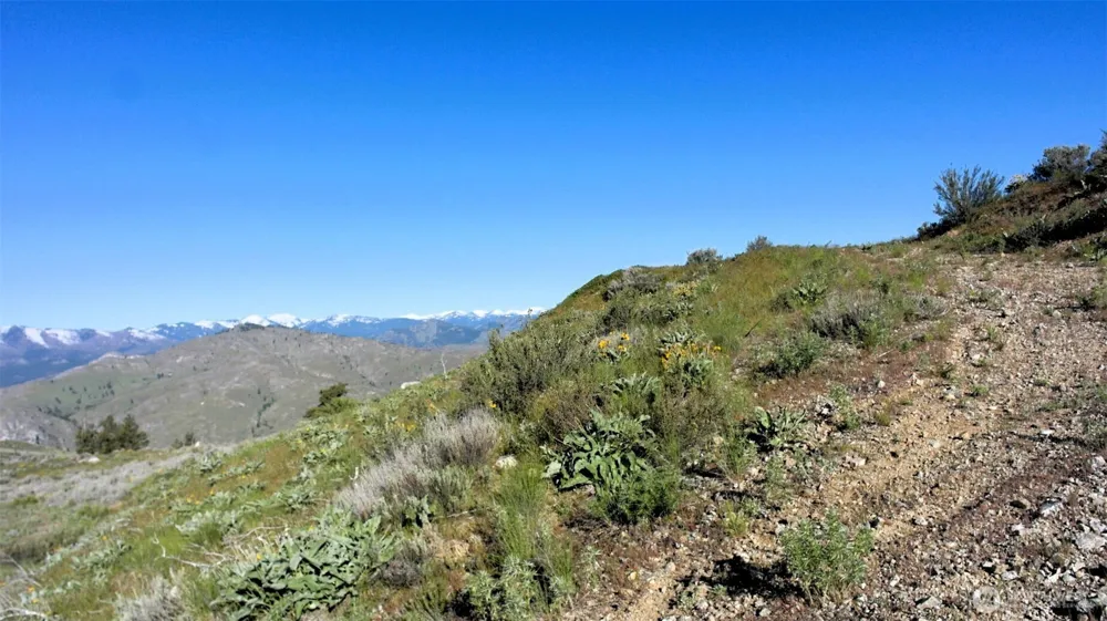 31 Cowboy Road Methow, WA 98834