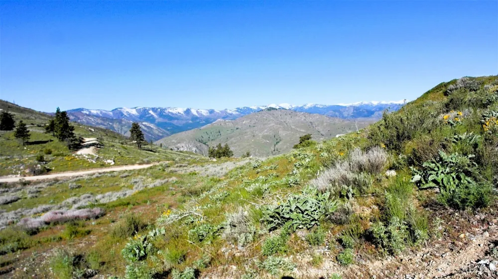 31 Cowboy Road Methow, WA 98834