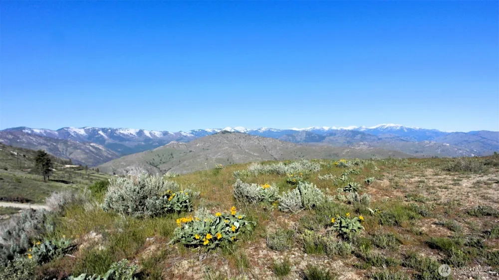 31 Cowboy Road Methow, WA 98834