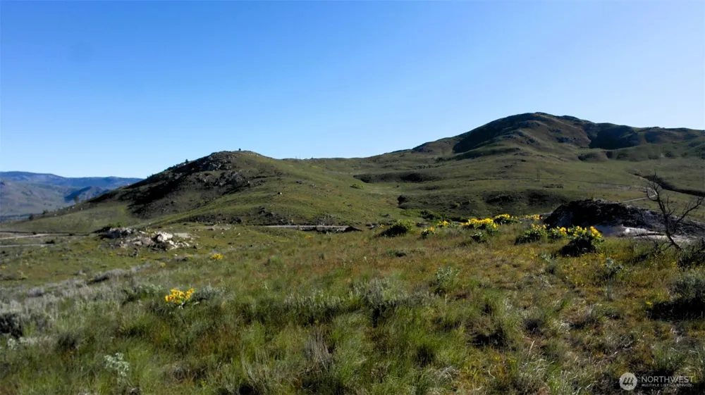 31 Cowboy Road Methow, WA 98834