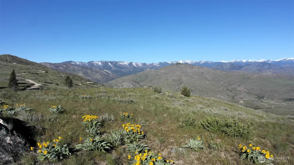 31 Cowboy Road Methow, WA 98834