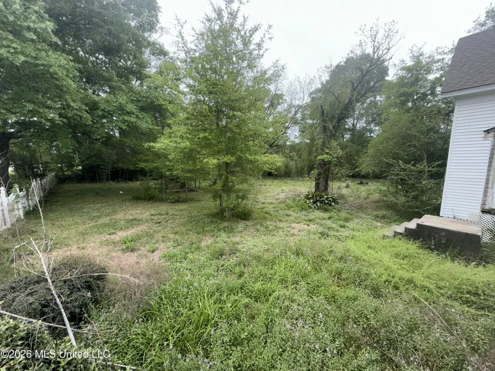101 S Main Street Mount Olive, MS 39119
