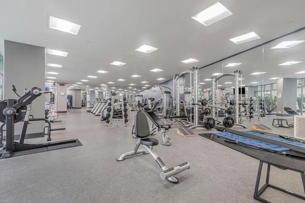 144 S 3rd Street #607 San Jose, CA 95112