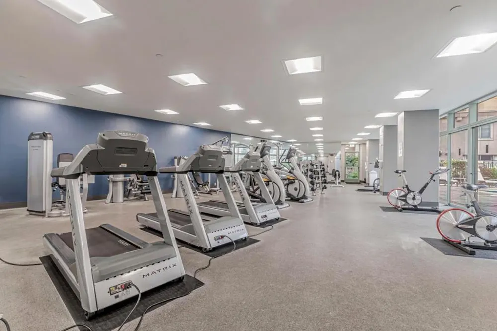 144 S 3rd Street #607 San Jose, CA 95112