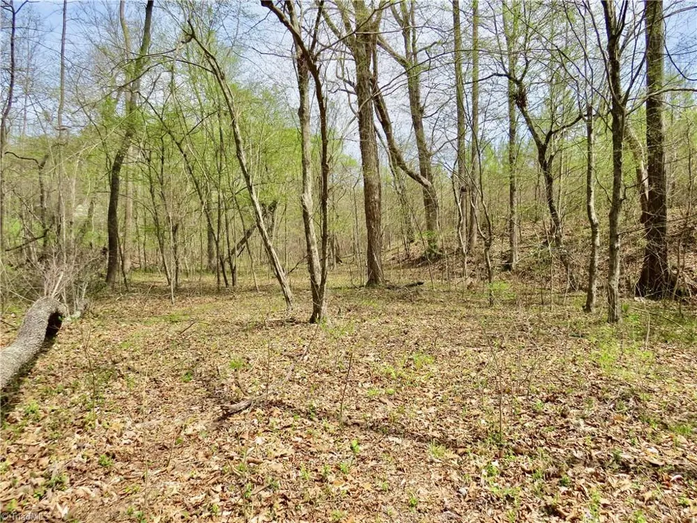 0 Vernon Road Reidsville, NC 27320