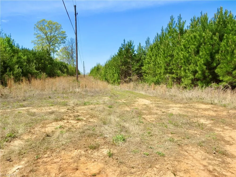 0 Vernon Road Reidsville, NC 27320