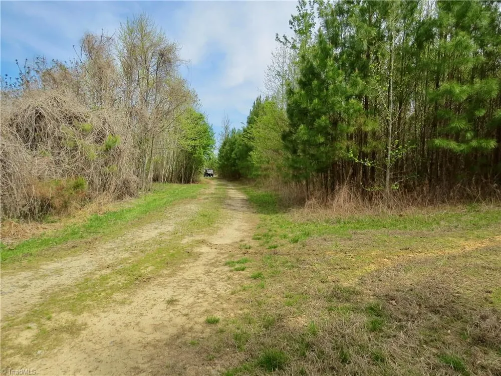0 Vernon Road Reidsville, NC 27320