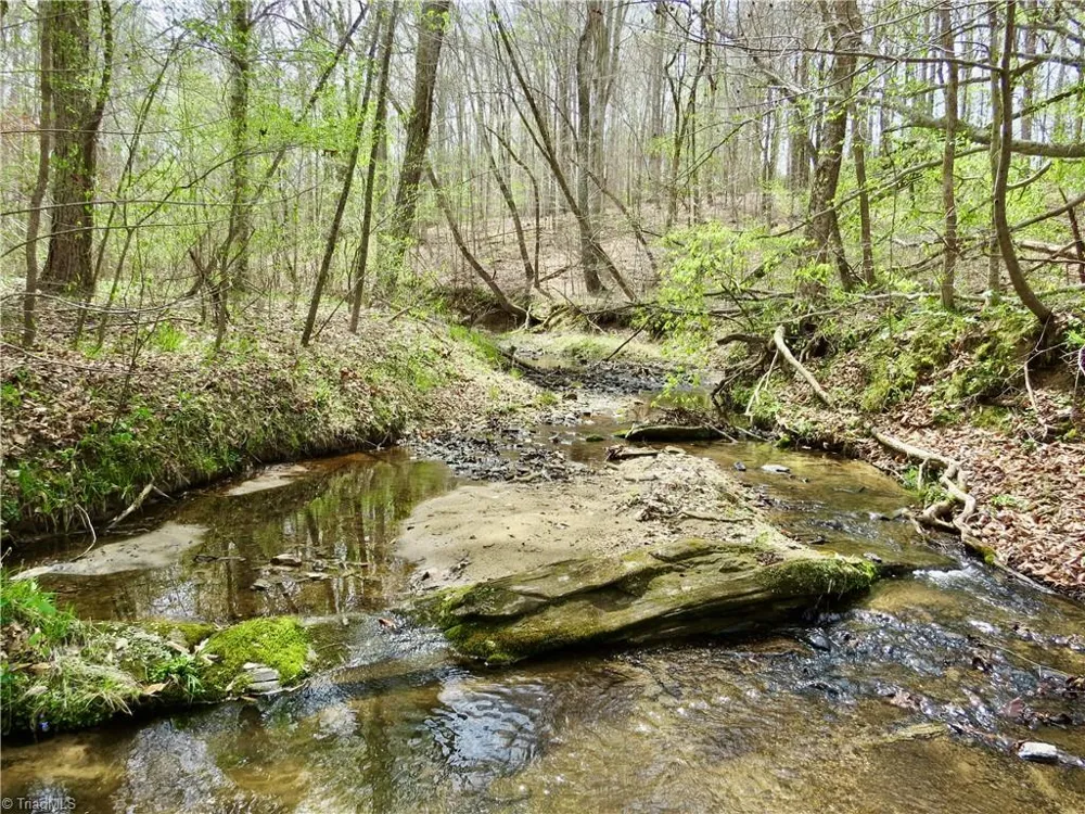 0 Vernon Road Reidsville, NC 27320