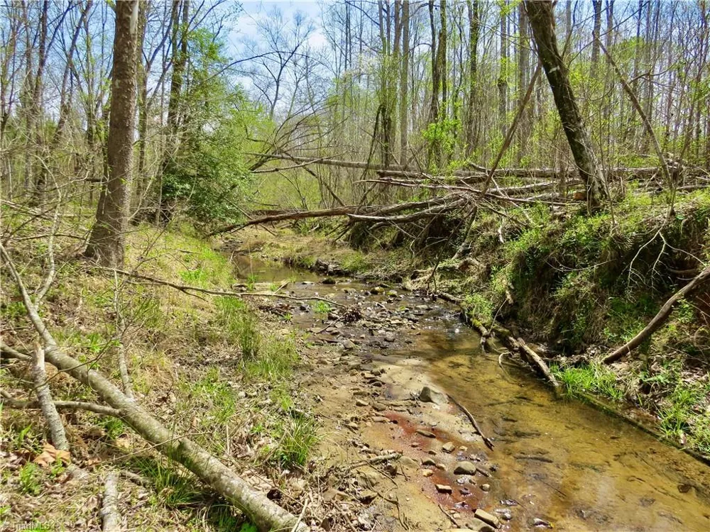 0 Vernon Road Reidsville, NC 27320
