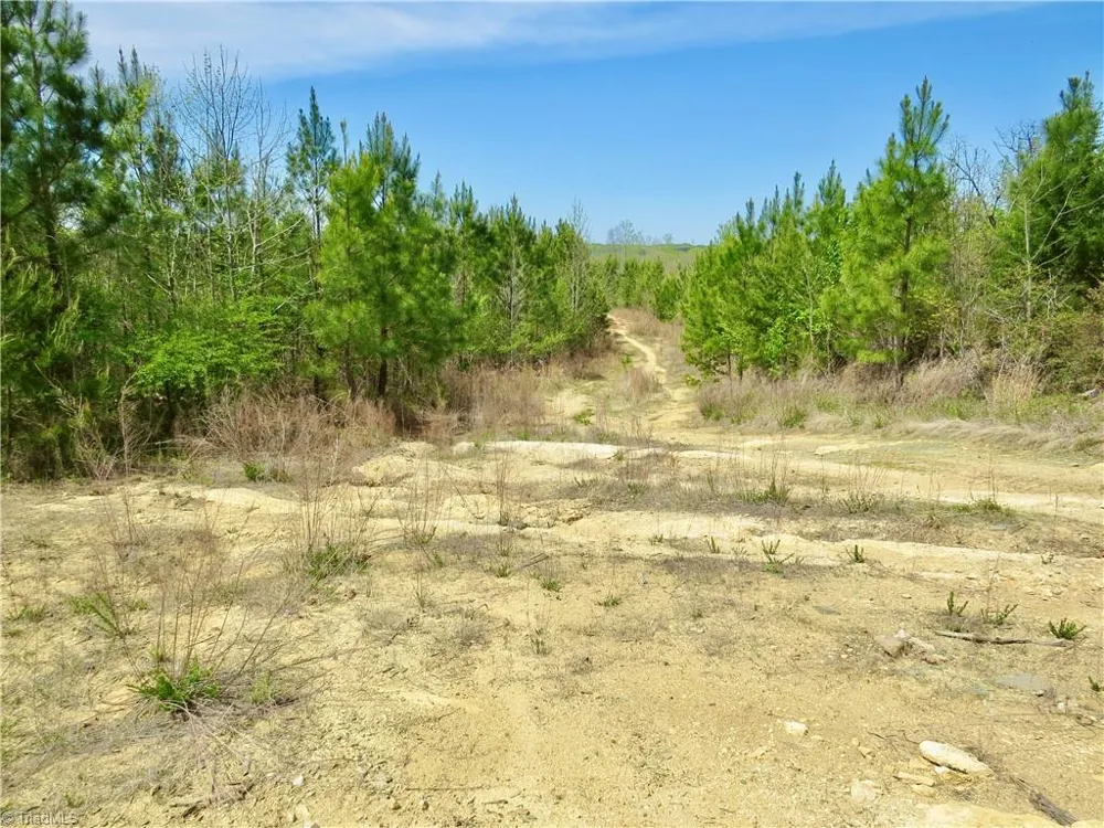 0 Vernon Road Reidsville, NC 27320