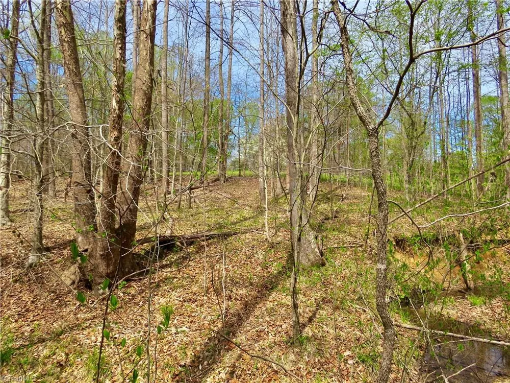 0 Vernon Road Reidsville, NC 27320