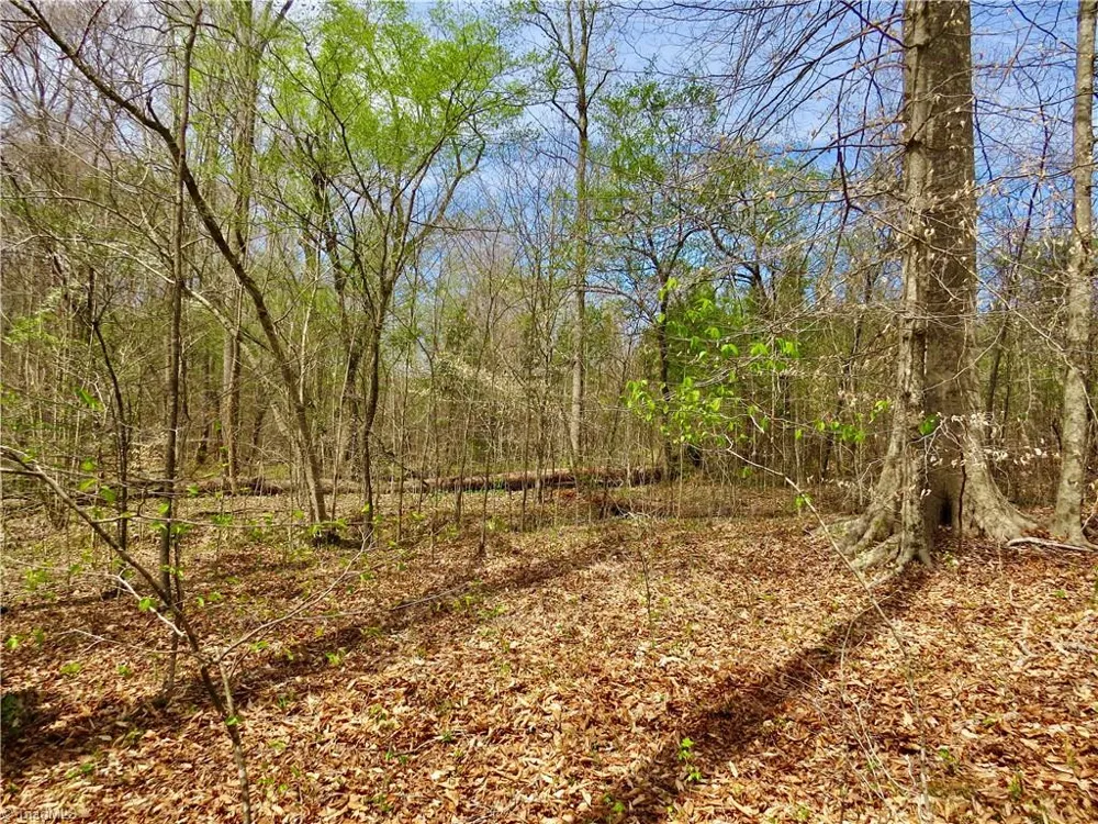 0 Vernon Road Reidsville, NC 27320