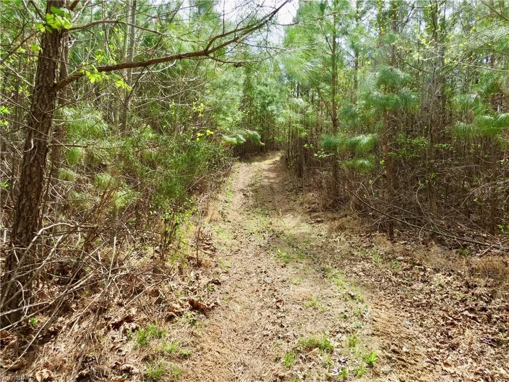 0 Vernon Road Reidsville, NC 27320